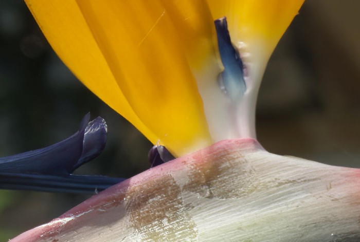 Topaz Photo AI beseitigt noch mehr Rauschen, allerdings leiden die Details darunter. (Bild: Tobias Költzsch/Golem.de)